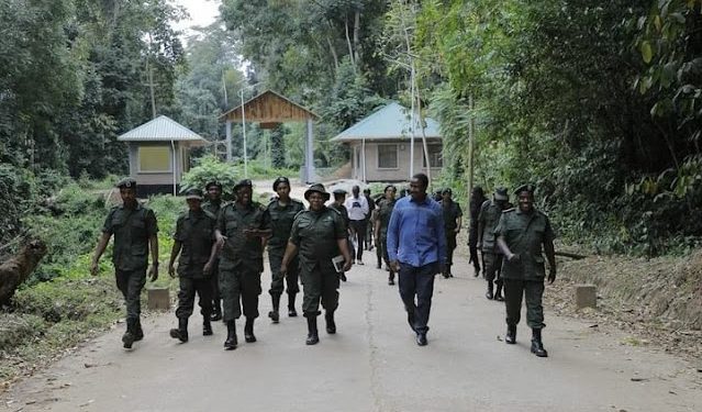 KITANDULA AIOMBA TFS KUJA NA MKAKATI MPYA WA MITI YA MATUNDA