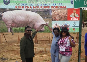 MSANII WA MUZIKI ,BEN POL AWEKEZA MILIONI 8, KATIKA MRADI WA NGURUWE, NA DOTTO MAGARI MILIONI 70