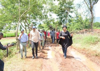 UZINDUZI WA UGAWAJI MBEGU MICHIKICHI TANGA