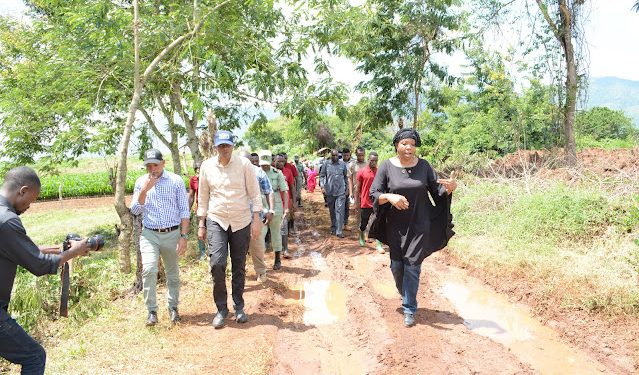 UZINDUZI WA UGAWAJI MBEGU MICHIKICHI TANGA