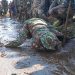 HATUA ZA AWALI KUKABILIANA NA MAFURIKO HANANG