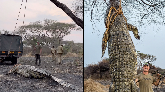 MAMBA ALIYEUAWA ALIWINDWA KIHALALI-TAWA