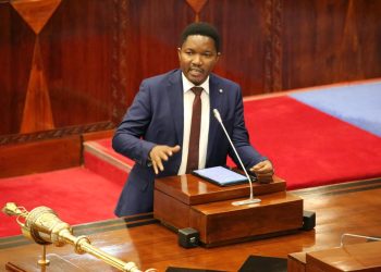 TRILIONI 2.4 KUCHANGIA PATO LA TAIFA KUTOKANA NA BIASHARA YA KABONI