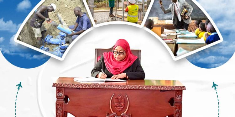 AJIRA MIL. 2 MIRADI YA SERIKALI NA SEKTA BINAFSI