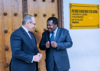 DK. NCHIMBI AWEKA MSIMAMO DIPLOMASIA YA UCHUMI NA SIASA KUNUFAISHA TANZANIA