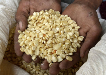 MAONESHO YA WADAU WA MBEGU KUFANYIKA LEO MEI 24, 2024 DODOMA