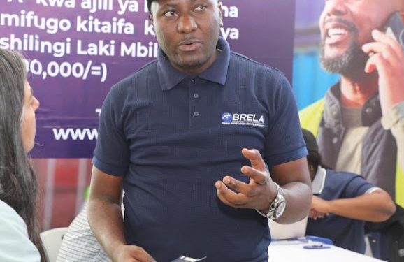 BRELLA YASAJILI KAMPUNI ZAIDI 50 KWENYE MAONESHO YA NANENANE